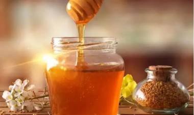 Honey Water Benefits Let Us Know What Are The Benefits Of Honey Water 