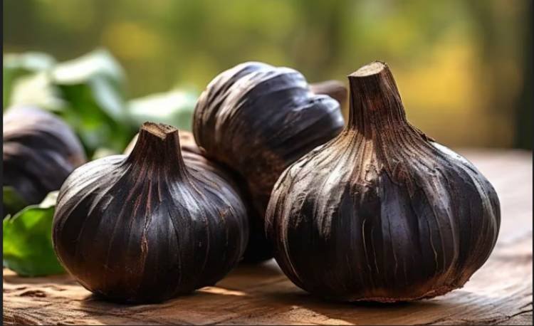 Black Garlic Is Full Of Health Benefits TO Control Diseases